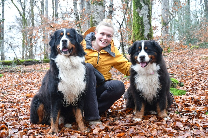 Eigenaar samen met twee honden in bos