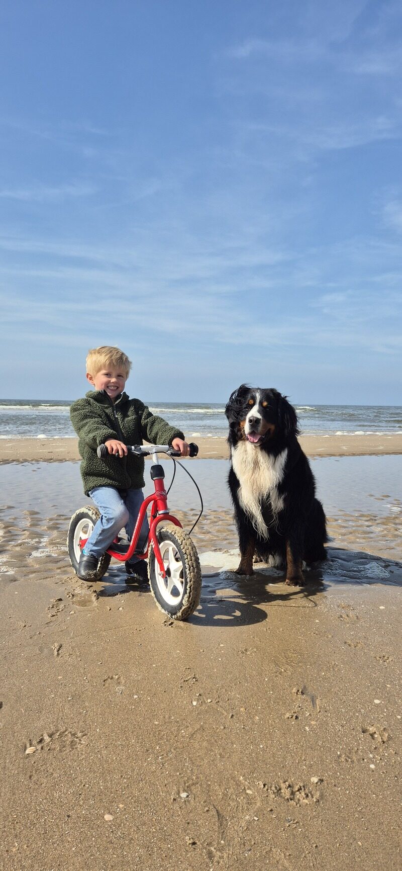 Hond met kind op fiets op het strand